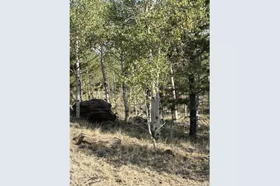 3031 McDowell Drive, Como, CO 80432 - Photo 13