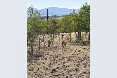 3031 McDowell Drive, Como, CO 80432 - Photo 9