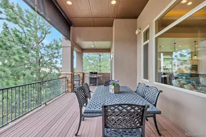 5101 Ten Mile Place, Castle Rock, CO 80108 - Photo 33