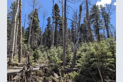 2452 Petito Drive, Fort Garland, CO 81133 - Photo 5