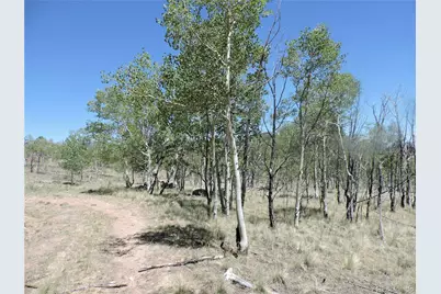 534 Concord Drive, Jefferson, CO 80456 - Photo 31