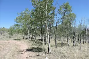 534 Concord Dr, Jefferson, CO 80456 - Photo 31