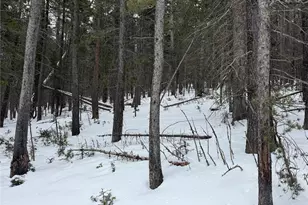 Lot 2759 Purnell Ln, Fort Garland, CO 81133 - Photo 1