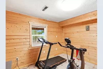 10 Juniper Way, Bailey, CO 80421 - Photo 29