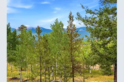 10 Juniper Way, Bailey, CO 80421 - Photo 41