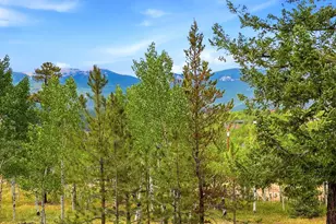 10 Juniper Way, Bailey, CO 80421 - Photo 41