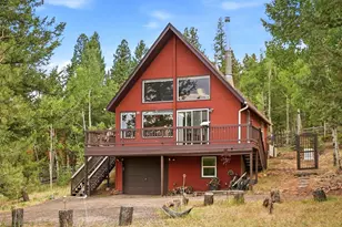 10 Juniper Way, Bailey, CO 80421 - Photo 39