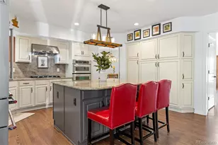 2263 Indian Paintbrush Circle, Highlands Ranch, CO 80129 - Photo 11