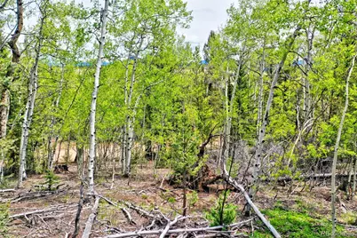 28 Old Squaw Road, Jefferson, CO 80456 - Photo 7