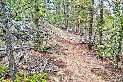 28 Old Squaw Road, Jefferson, CO 80456 - Photo 9