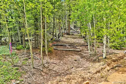 28 Old Squaw Road, Jefferson, CO 80456 - Photo 3