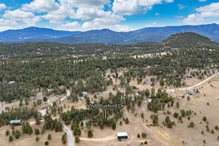 1768 Bluebird Dr, Bailey, CO 80421 - Photo 45