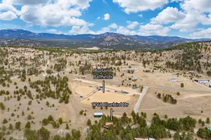 1768 Bluebird Dr, Bailey, CO 80421 - Photo 47