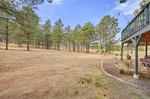 1768 Bluebird Dr, Bailey, CO 80421 - Photo 33