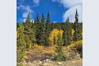 5347 Monitor Lode Claims, Leadville, CO 80461 - Photo 1