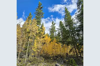 5347 Monitor Lode Claims, Leadville, CO 80461 - Photo 9