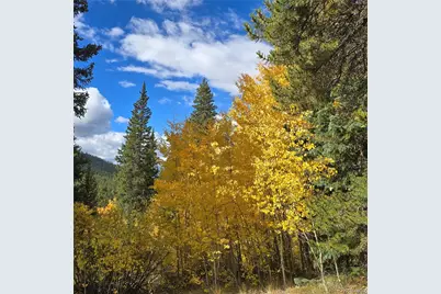 5347 Monitor Lode Claims, Leadville, CO 80461 - Photo 15
