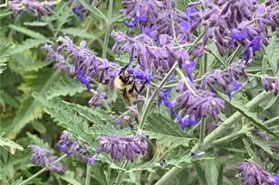 22370 E Dorado Ave, Aurora, CO 80015 - Photo 37