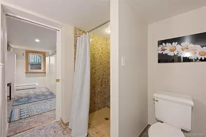425 N Franklin Street, Denver, CO 80218 - Photo 37