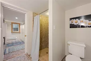 425 N Franklin St, Denver, CO 80218 - Photo 37