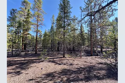 776 Birch Drive, Twin Lakes, CO 80461 - Photo 5