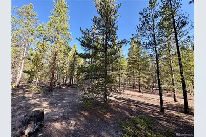 776 Birch Drive, Twin Lakes, CO 80461 - Photo 7