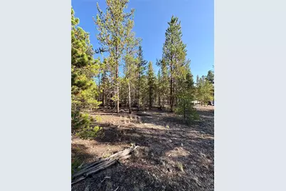 776 Birch Drive, Twin Lakes, CO 80461 - Photo 3