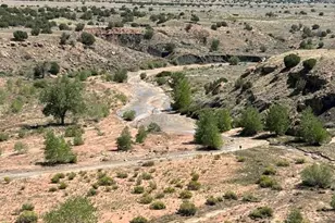 Bowie Rd, Penrose, CO 81240 - Photo 1