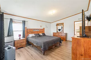 265 Trout Rd, Fairplay, CO 80440 - Photo 31