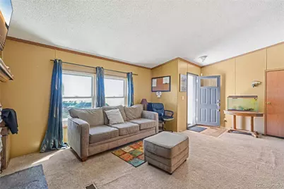 265 Trout Road, Fairplay, CO 80440 - Photo 5