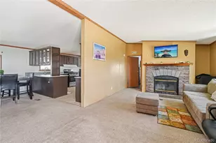 265 Trout Rd, Fairplay, CO 80440 - Photo 3
