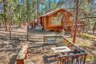 261 Impala Trail, Bailey, CO 80421 - Photo 27