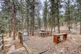 261 Impala Trail, Bailey, CO 80421 - Photo 29