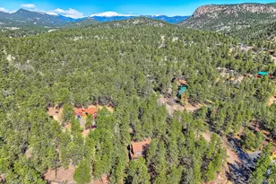 261 Impala Trail, Bailey, CO 80421 - Photo 37