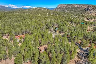 261 Impala Trail, Bailey, CO 80421 - Photo 35