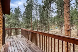 261 Impala Trail, Bailey, CO 80421 - Photo 25