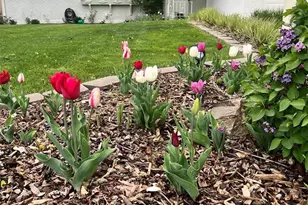 5929 S Steele St, Centennial, CO 80121 - Photo 41