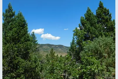 6447 Thunderbird Road, Larkspur, CO 80118 - Photo 25