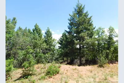 6447 Thunderbird Road, Larkspur, CO 80118 - Photo 43