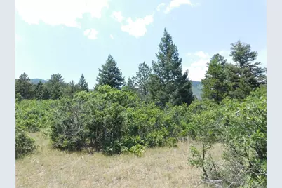 6447 Thunderbird Road, Larkspur, CO 80118 - Photo 47