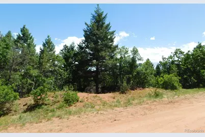 6447 Thunderbird Road, Larkspur, CO 80118 - Photo 7