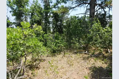 6447 Thunderbird Road, Larkspur, CO 80118 - Photo 45