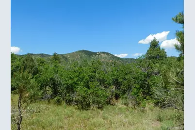 6447 Thunderbird Road, Larkspur, CO 80118 - Photo 3