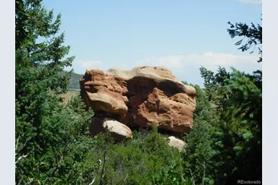 6447 Thunderbird Road, Larkspur, CO 80118 - Photo 21