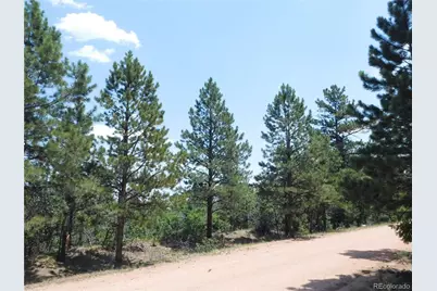 6447 Thunderbird Road, Larkspur, CO 80118 - Photo 49