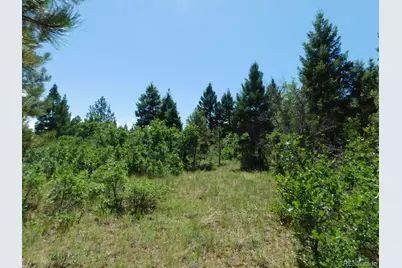 6447 Thunderbird Road, Larkspur, CO 80118 - Photo 35