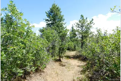 6447 Thunderbird Road, Larkspur, CO 80118 - Photo 19
