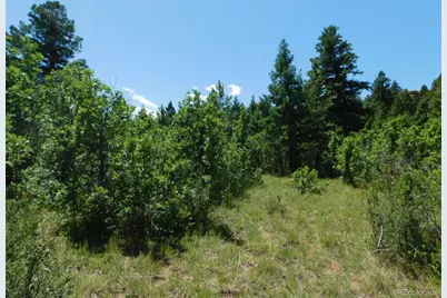 6447 Thunderbird Road, Larkspur, CO 80118 - Photo 33