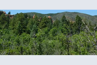 6447 Thunderbird Road, Larkspur, CO 80118 - Photo 29