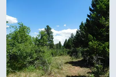 6447 Thunderbird Road, Larkspur, CO 80118 - Photo 41